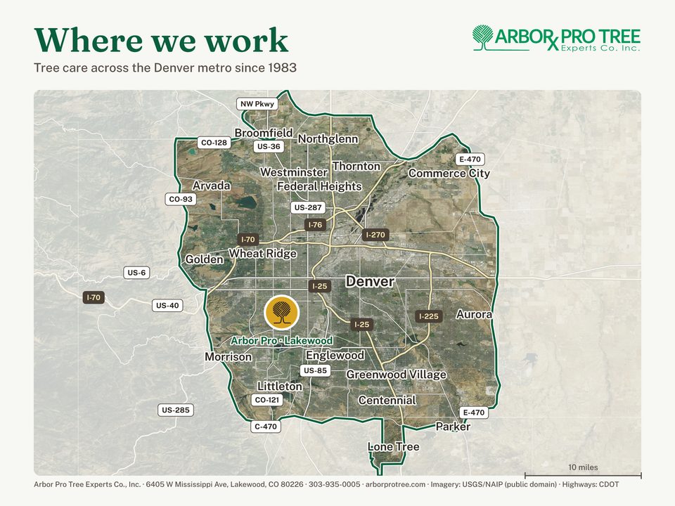 Map of the Denver metro on aerial imagery with Arbor Pro's service area outlined — everything inside the C-470 and E-470 loop: Arvada, Aurora, Broomfield, Centennial, Commerce City, Denver, Englewood, Federal Heights, Golden, Greenwood Village, Highlands Ranch, Lakewood, Littleton, Lone Tree, Morrison, Northglenn, Parker, Thornton, Westminster, Wheat Ridge. Interstate, US and state highways are drawn; the yard is marked in Lakewood.